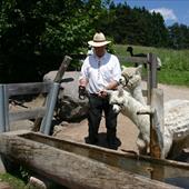 Clicca_per_INGRANDIRE_la_Foto