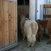 Clicca_per_INGRANDIRE_la_Foto