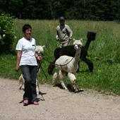 Clicca_per_INGRANDIRE_la_Foto