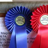 Clicca_per_INGRANDIRE_la_Foto