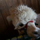 Clicca_per_INGRANDIRE_la_Foto