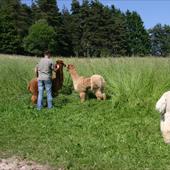 Clicca_per_INGRANDIRE_la_Foto