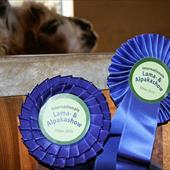 Clicca_per_INGRANDIRE_la_Foto