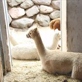 Clicca_per_INGRANDIRE_la_Foto