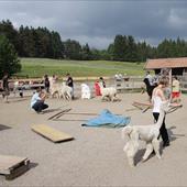 Clicca_per_INGRANDIRE_la_Foto