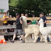 Clicca_per_INGRANDIRE_la_Foto