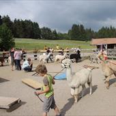 Clicca_per_INGRANDIRE_la_Foto