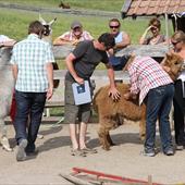 Clicca_per_INGRANDIRE_la_Foto