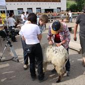 Clicca_per_INGRANDIRE_la_Foto