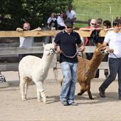 Clicca_per_INGRANDIRE_la_Foto