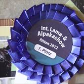 Clicca_per_INGRANDIRE_la_Foto