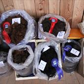 Clicca_per_INGRANDIRE_la_Foto