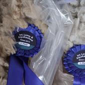 Clicca_per_INGRANDIRE_la_Foto