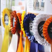 Clicca_per_INGRANDIRE_la_Foto