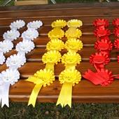 Clicca_per_INGRANDIRE_la_Foto