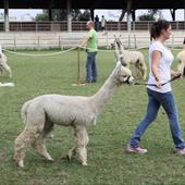 Clicca_per_INGRANDIRE_la_Foto