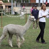 Clicca_per_INGRANDIRE_la_Foto