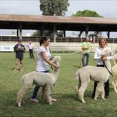 Clicca_per_INGRANDIRE_la_Foto