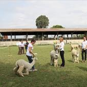 Clicca_per_INGRANDIRE_la_Foto