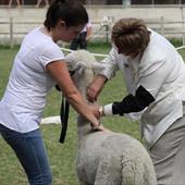 Clicca_per_INGRANDIRE_la_Foto