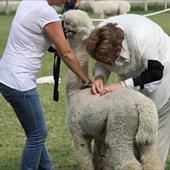 Clicca_per_INGRANDIRE_la_Foto