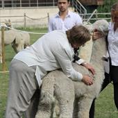 Clicca_per_INGRANDIRE_la_Foto