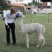 Clicca_per_INGRANDIRE_la_Foto