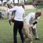 Clicca_per_INGRANDIRE_la_Foto