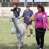 Clicca_per_INGRANDIRE_la_Foto