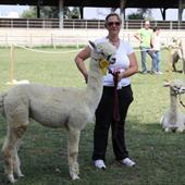 Clicca_per_INGRANDIRE_la_Foto