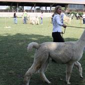 Clicca_per_INGRANDIRE_la_Foto