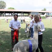 Clicca_per_INGRANDIRE_la_Foto