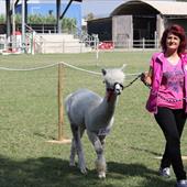 Clicca_per_INGRANDIRE_la_Foto