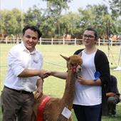 Clicca_per_INGRANDIRE_la_Foto