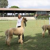 Clicca_per_INGRANDIRE_la_Foto