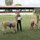 Clicca_per_INGRANDIRE_la_Foto