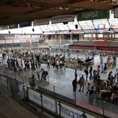 Clicca_per_INGRANDIRE_la_Foto