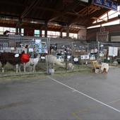 Clicca_per_INGRANDIRE_la_Foto