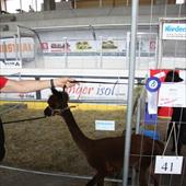 Clicca_per_INGRANDIRE_la_Foto