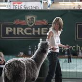 Clicca_per_INGRANDIRE_la_Foto