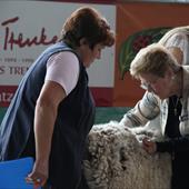 Clicca_per_INGRANDIRE_la_Foto