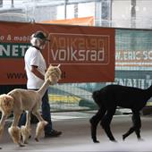 Clicca_per_INGRANDIRE_la_Foto