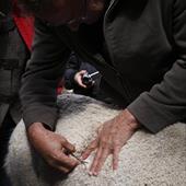 Clicca_per_INGRANDIRE_la_Foto