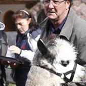 Clicca_per_INGRANDIRE_la_Foto