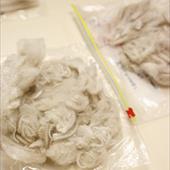 Clicca_per_INGRANDIRE_la_Foto